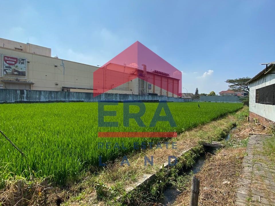 Gambar WhatsApp 2024-06-29 pukul 11.44.13_40254ca7