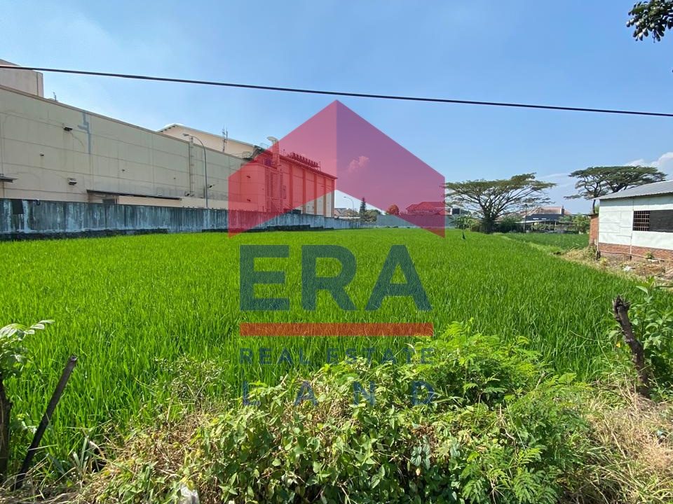 Gambar WhatsApp 2024-06-29 pukul 11.44.13_8f45da3e