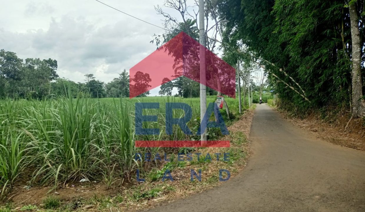 Gambar WhatsApp 2024-07-08 pukul 15.13.51_134f9db2