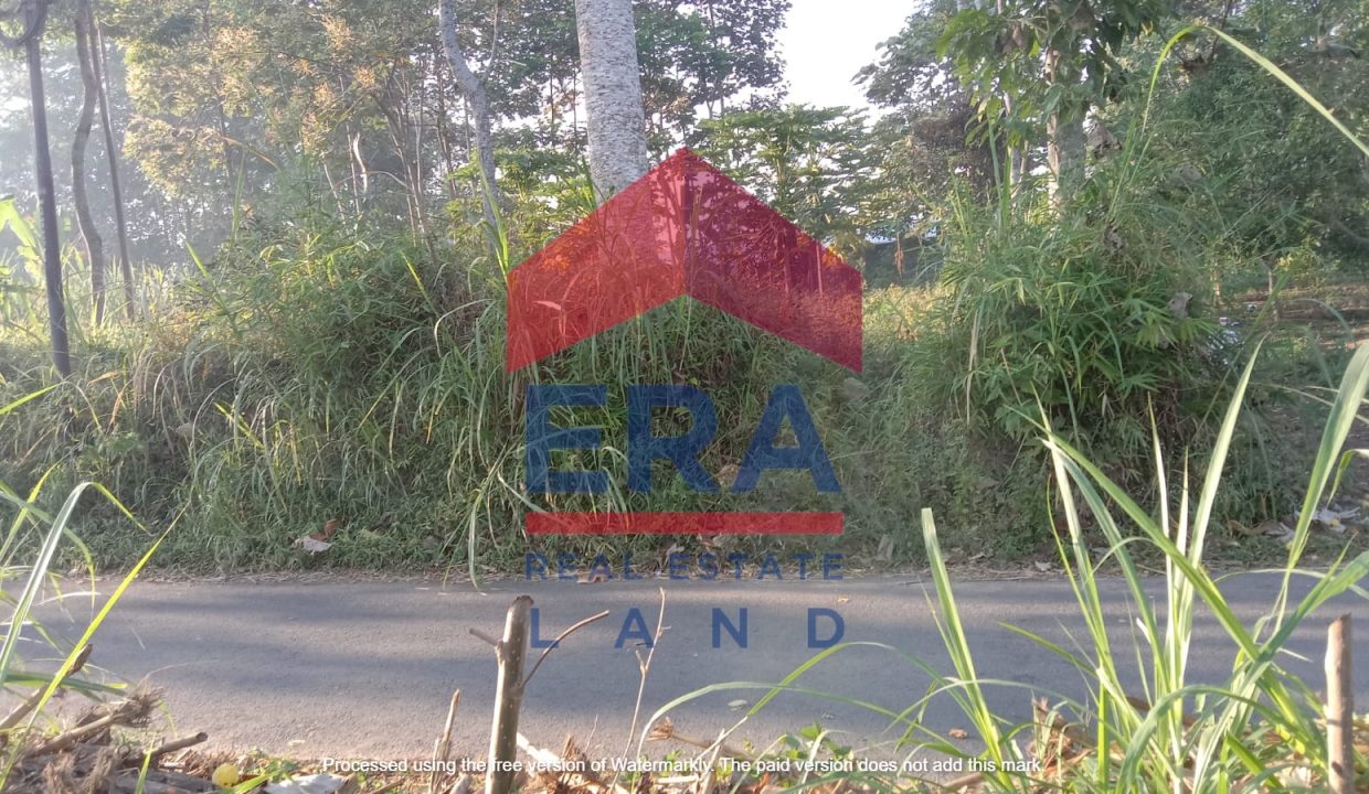 Gambar WhatsApp 2024-07-19 pukul 12.16.25_c01b27f1
