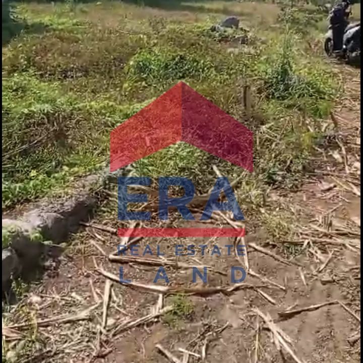 Gambar WhatsApp 2024-08-14 pukul 15.30.10_cf015830