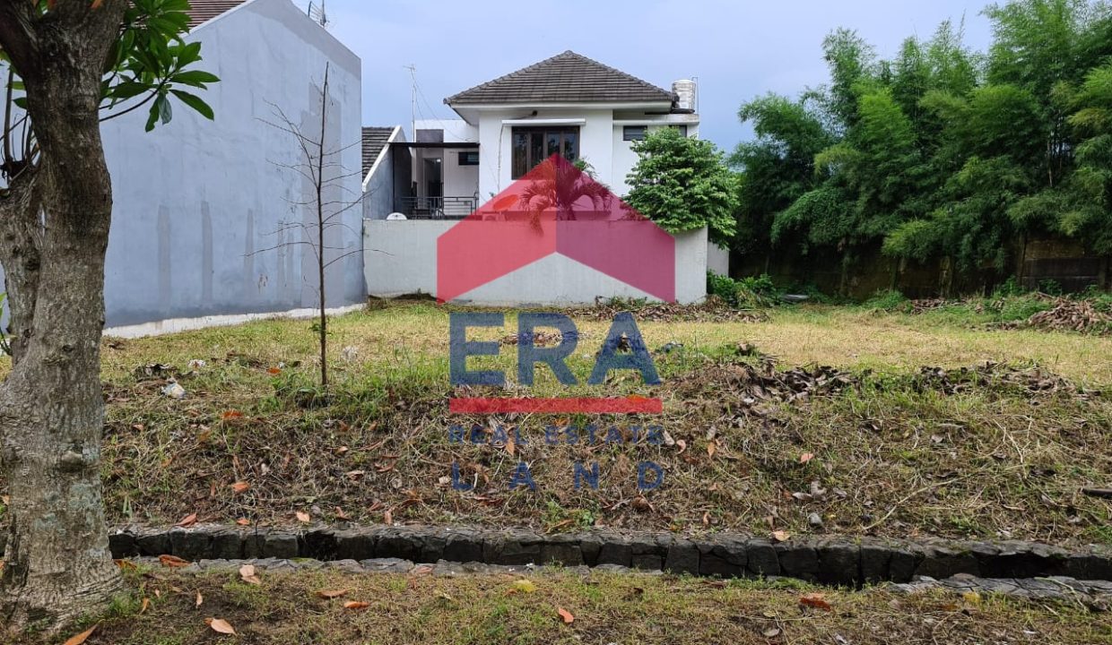 WhatsApp Image 2022-04-04 at 06.48.13 (1)