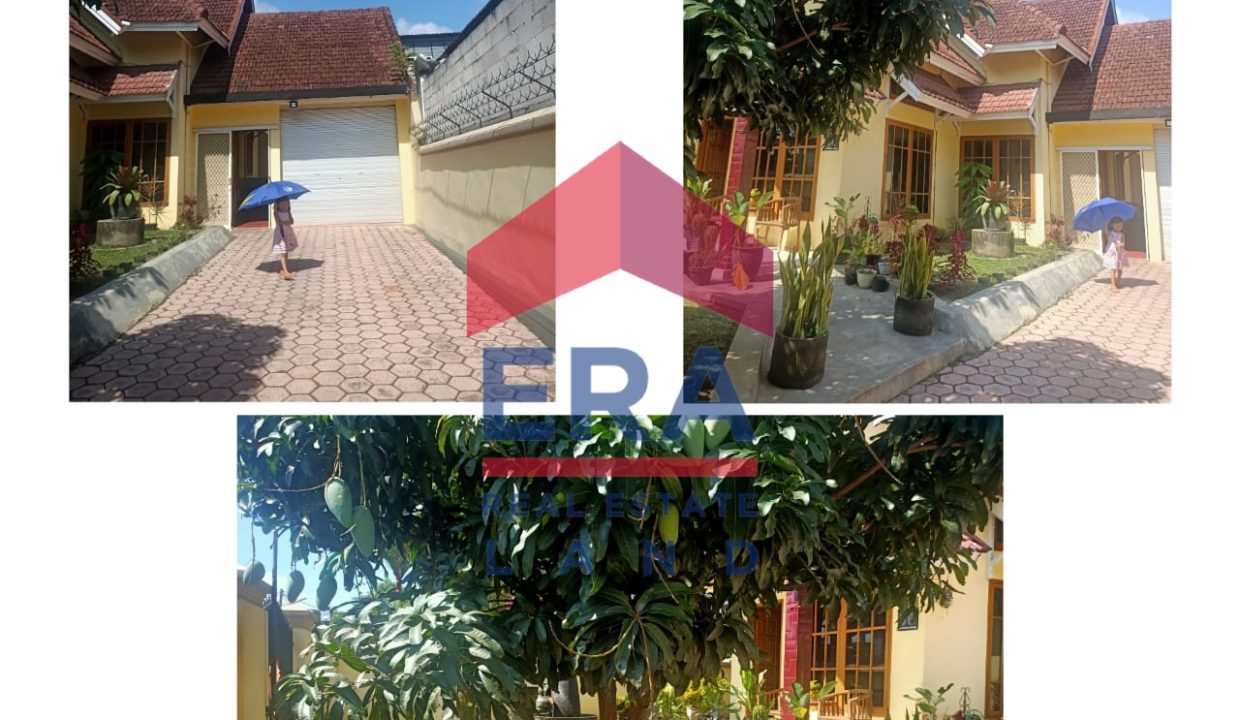 WhatsApp Image 2022-04-04 at 07.28.26 (2)