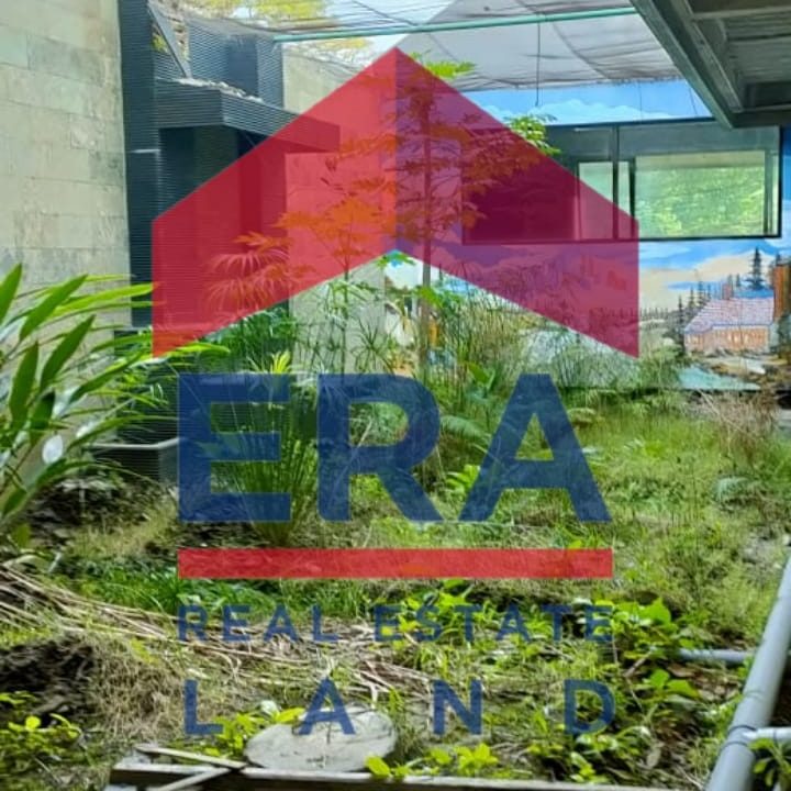 WhatsApp Image 2022-05-28 at 07.16.16