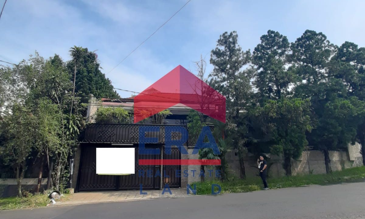 WhatsApp Image 2022-06-17 at 14.42.30