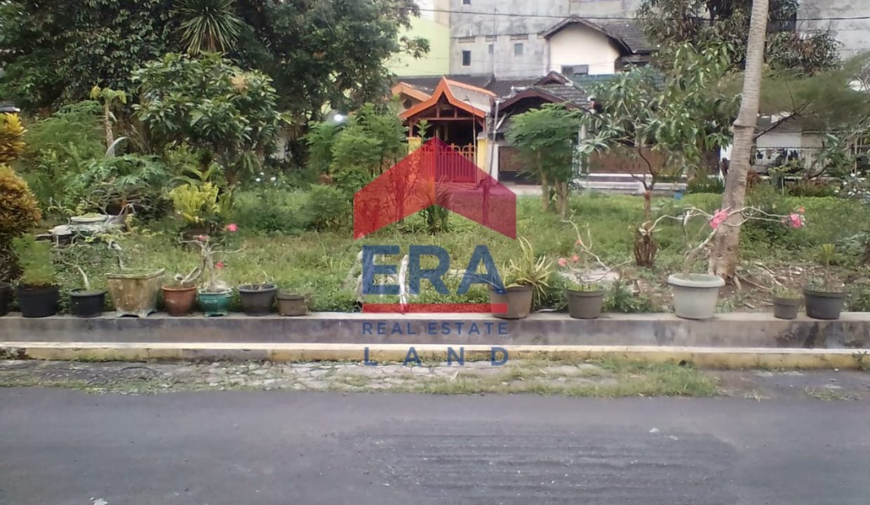 WhatsApp Image 2022-06-23 at 11.20.12