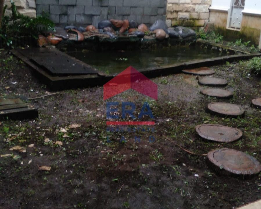 WhatsApp Image 2022-06-27 at 10.00.49 (1)