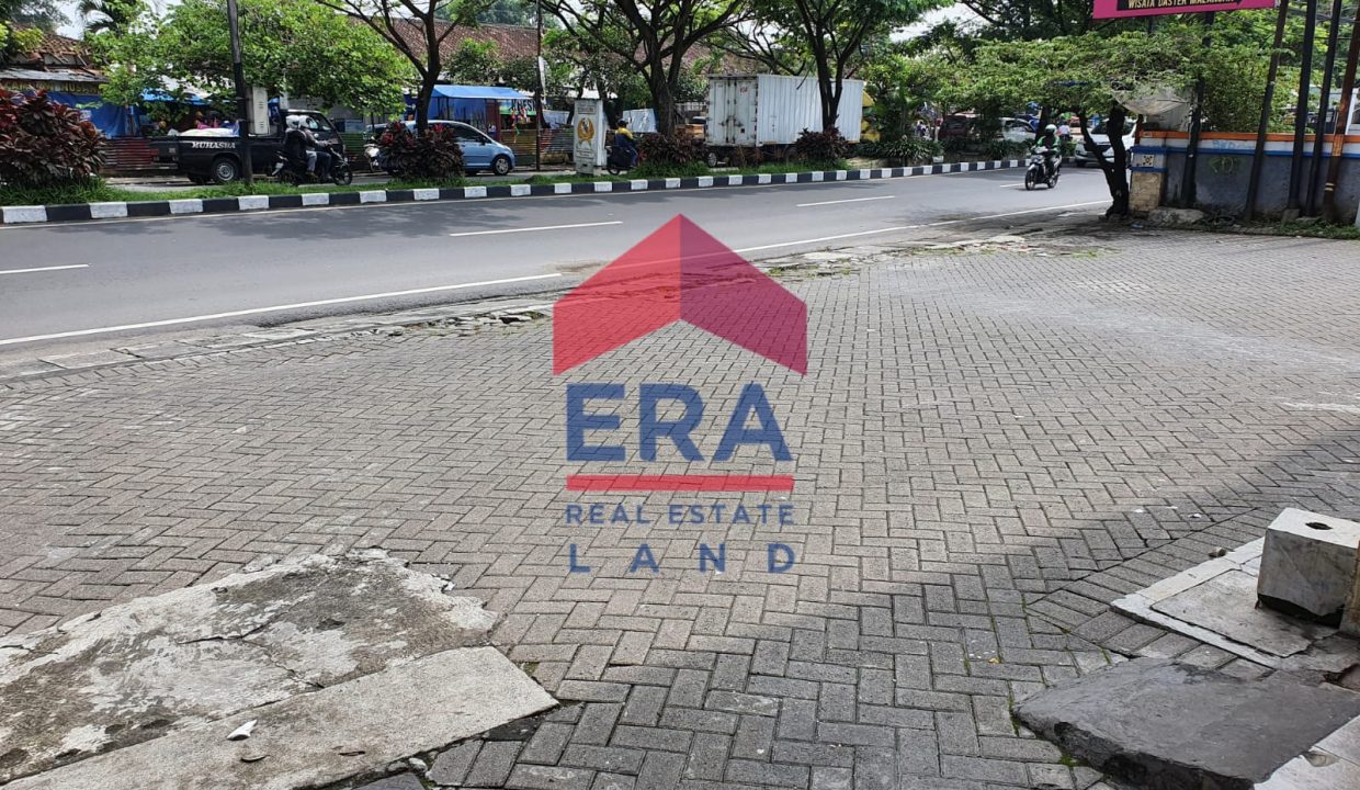 WhatsApp Image 2022-07-19 at 09.42.10 (1)