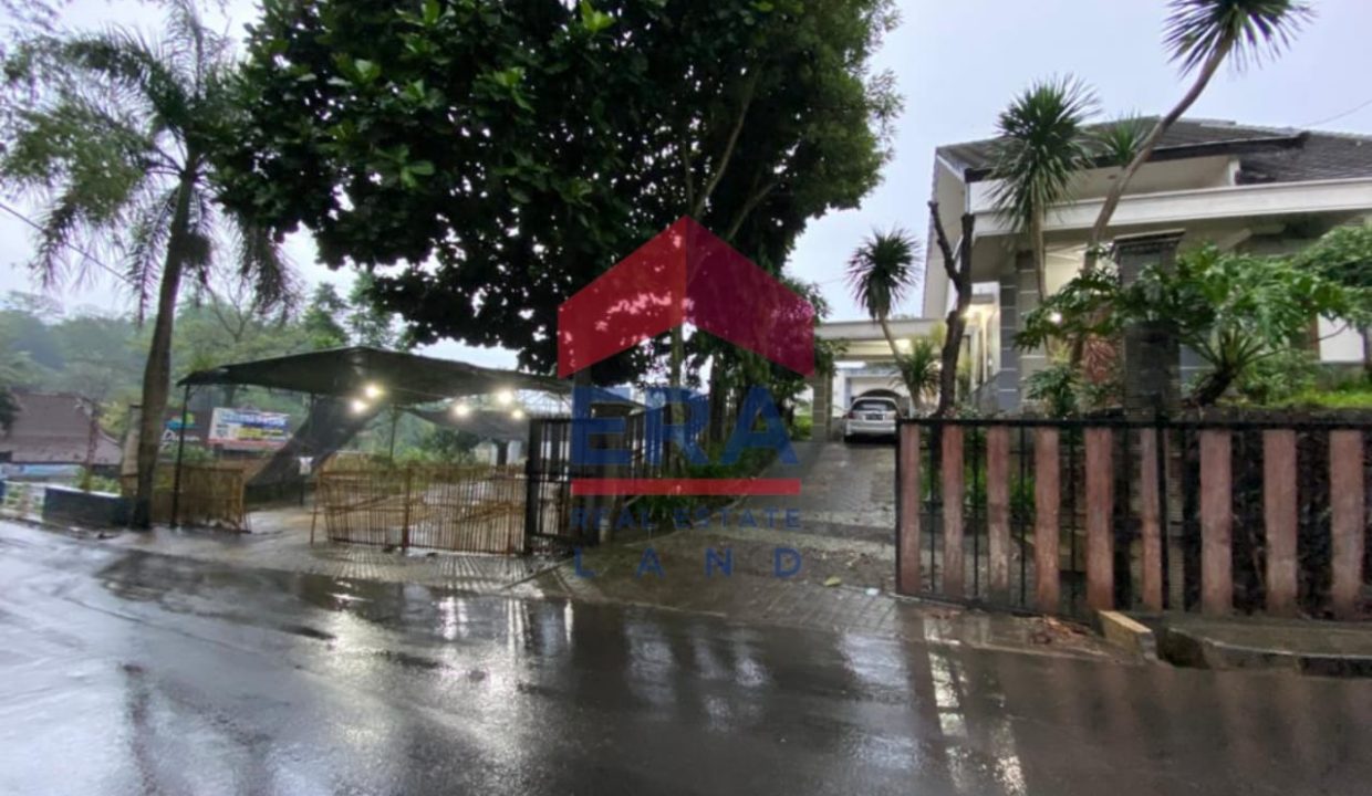 WhatsApp Image 2022-08-08 at 09.39.44