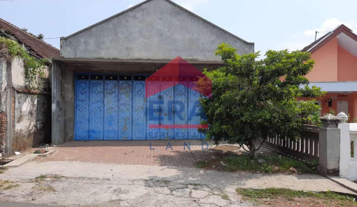 WhatsApp Image 2022-09-21 at 10.59.47 (1)