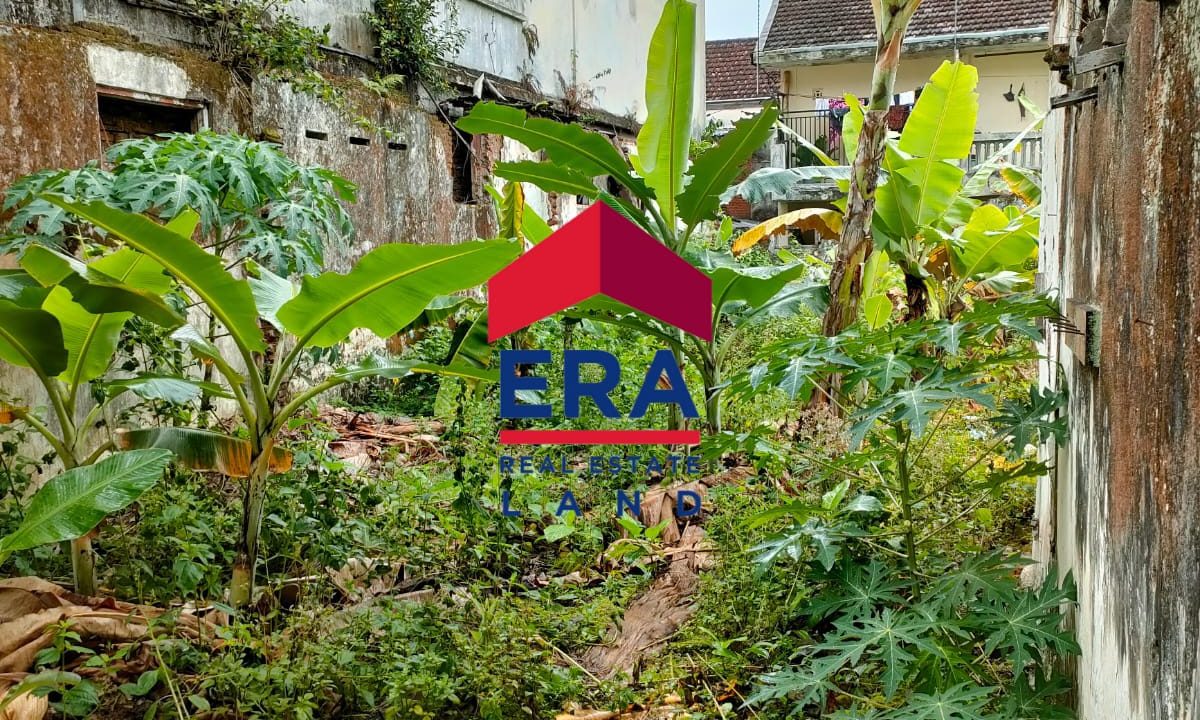 WhatsApp Image 2022-10-21 at 11.30.21 (7)