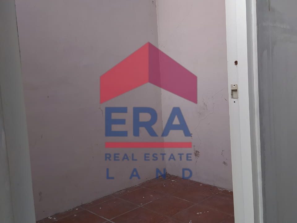 WhatsApp Image 2023-01-10 at 10.10.41