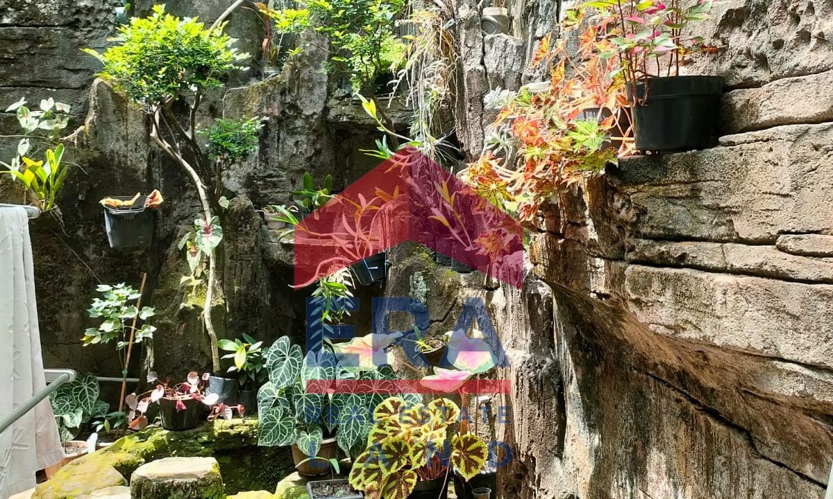 WhatsApp Image 2023-01-24 at 10.05.03 (2)