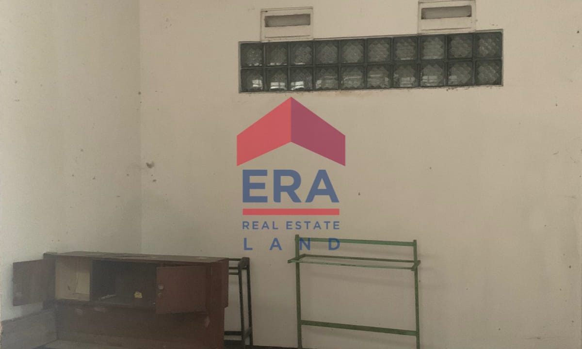 WhatsApp Image 2023-02-09 at 11.02.20 (1)