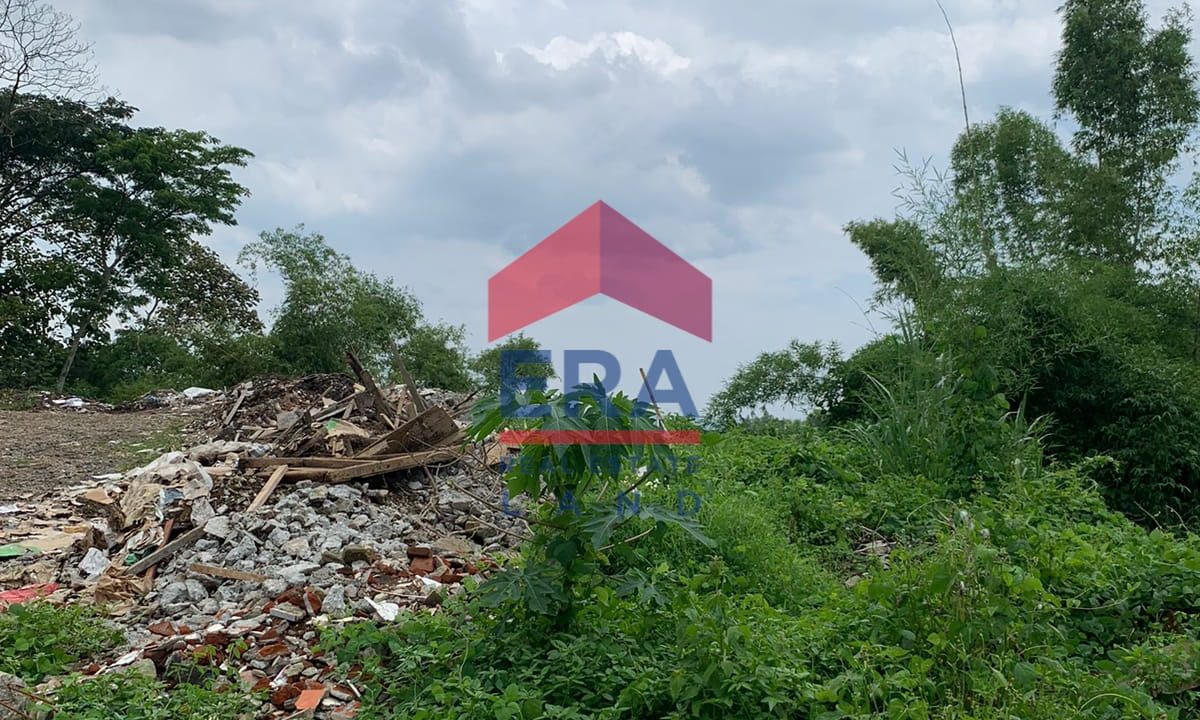 WhatsApp Image 2023-02-09 at 11.47.24