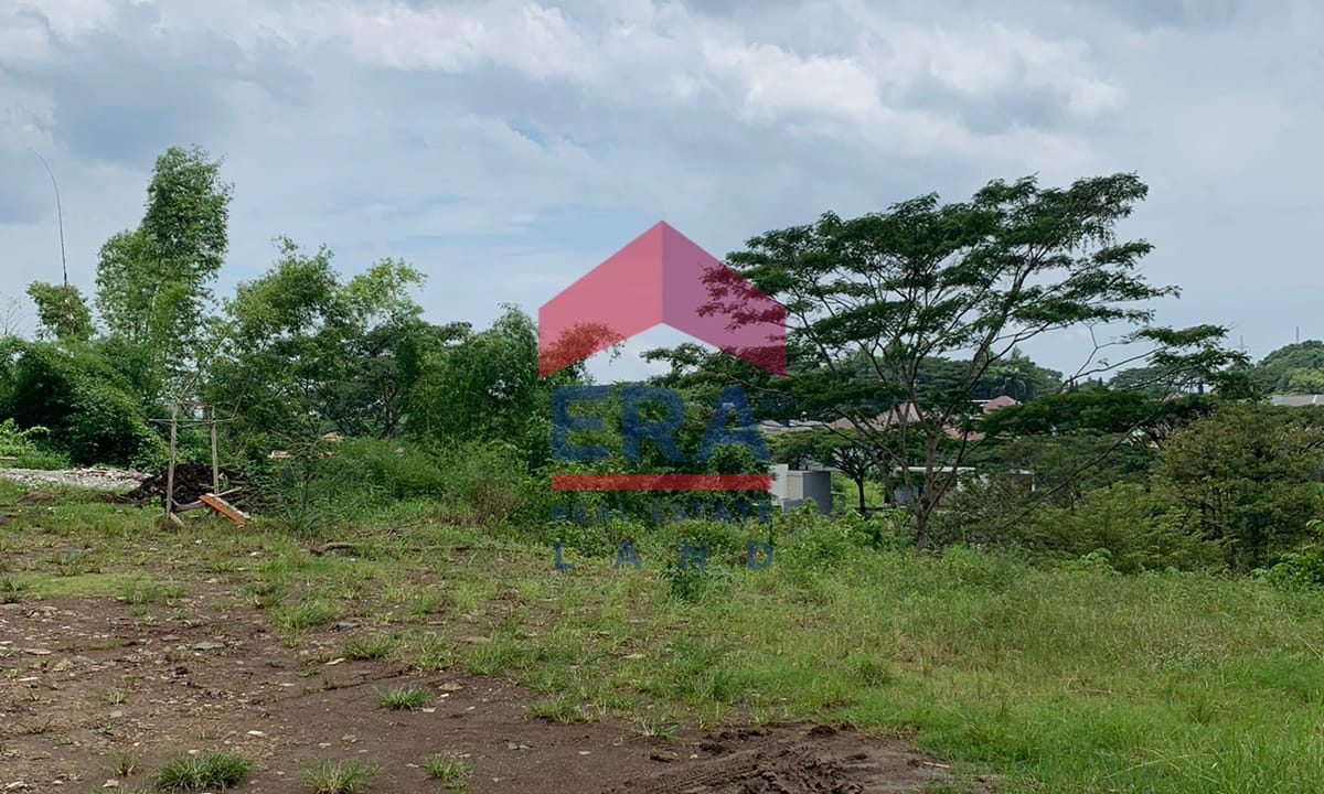 WhatsApp Image 2023-02-09 at 11.47.24 (2)