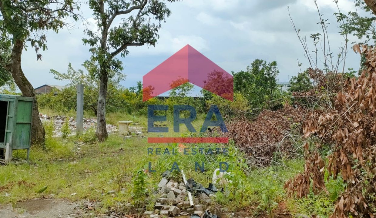 WhatsApp Image 2023-02-28 at 11.30.27 (1)