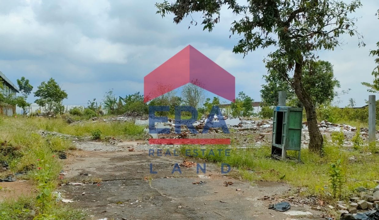 WhatsApp Image 2023-02-28 at 11.30.27