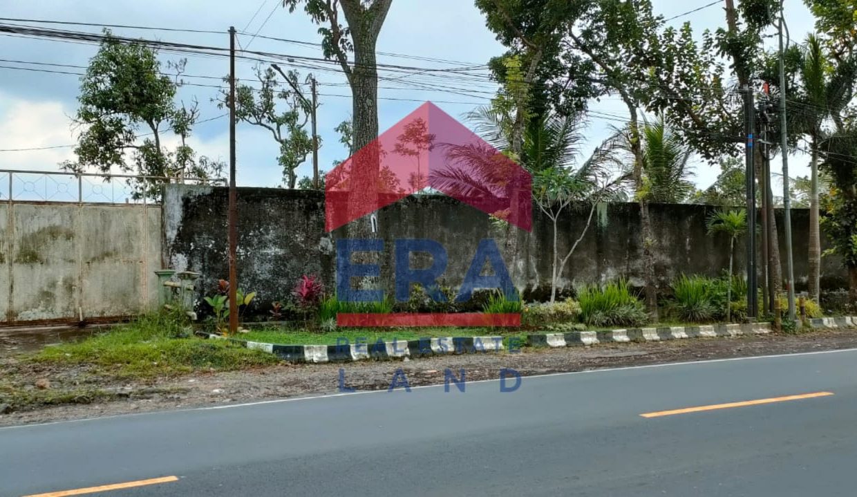 WhatsApp Image 2023-02-28 at 11.30.27 (2)