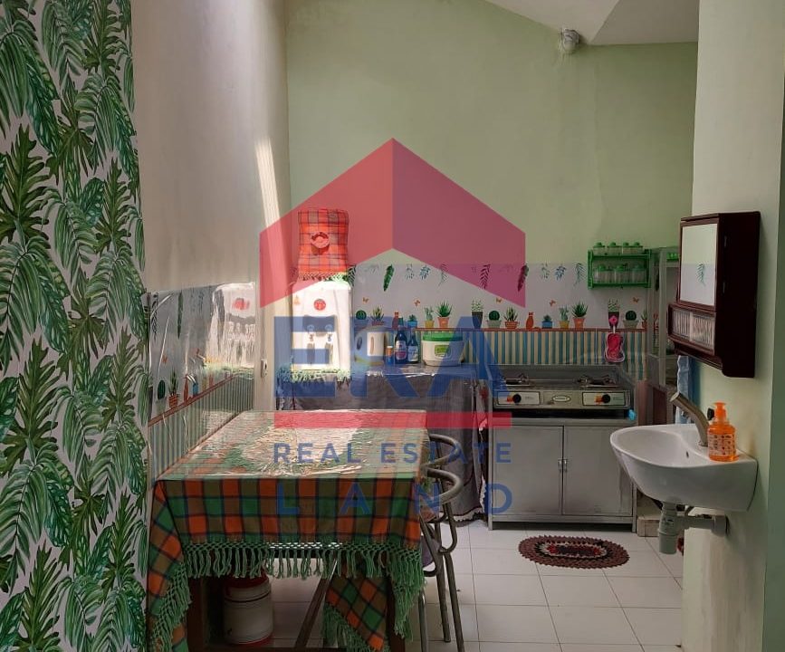 WhatsApp Image 2023-03-13 at 10.46.02