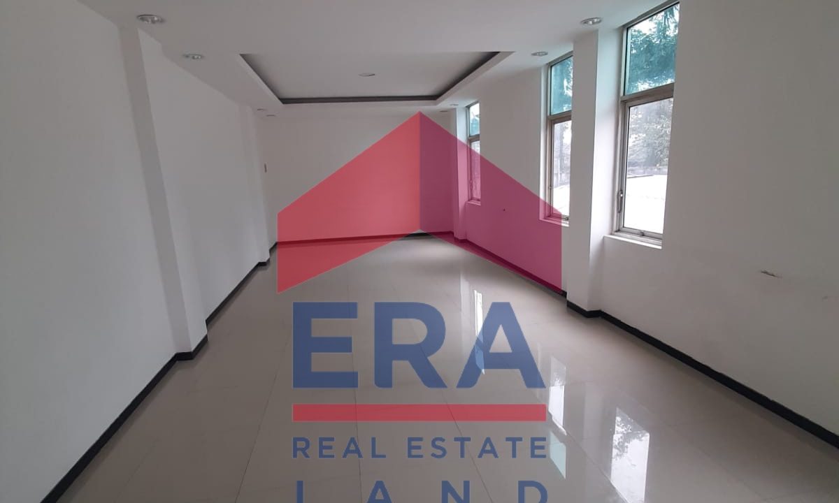 WhatsApp Image 2023-03-16 at 12.21.08 (1)