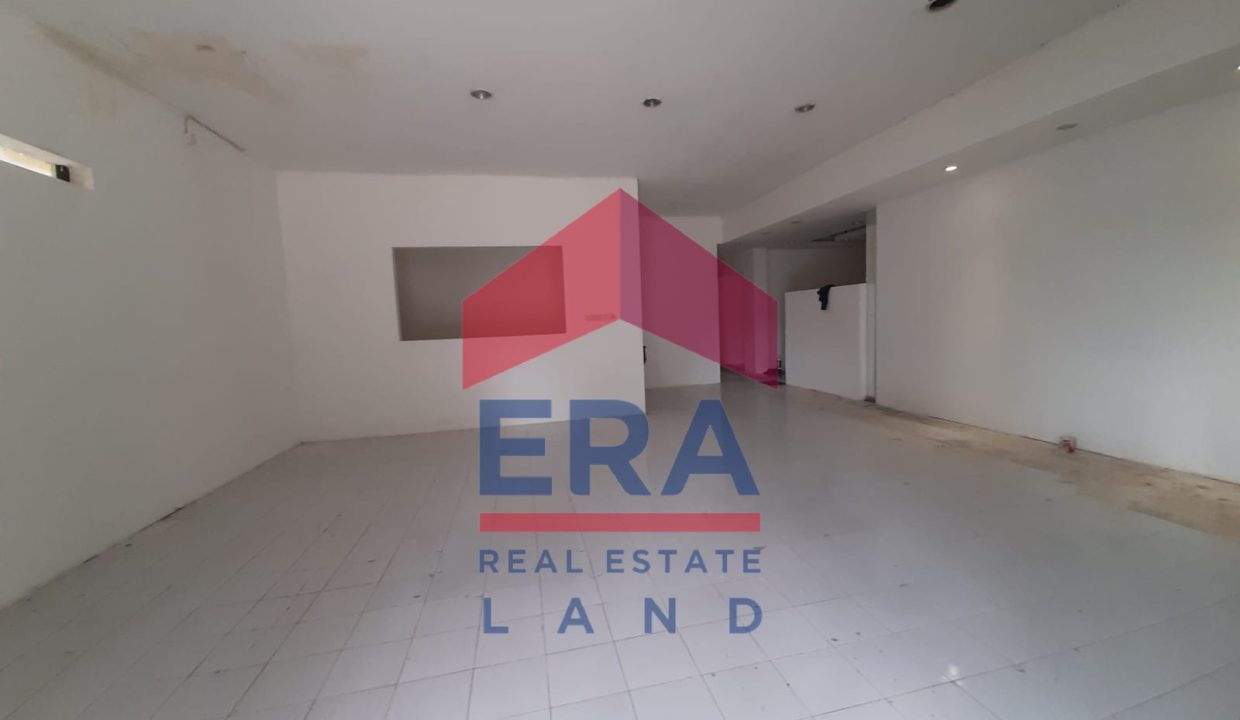 WhatsApp Image 2023-03-16 at 12.21.10