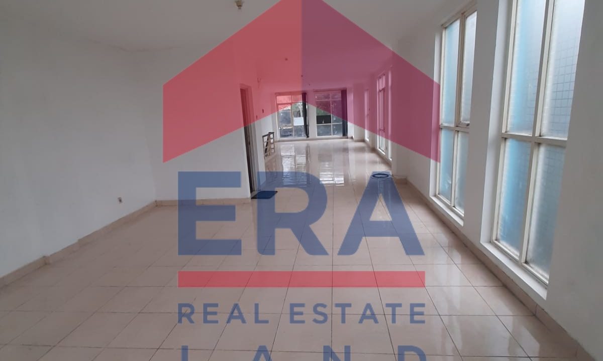 WhatsApp Image 2023-03-29 at 14.51.11 (1)