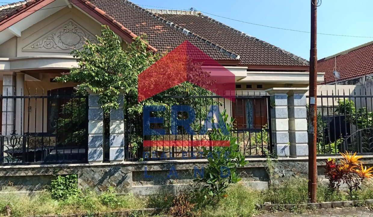 WhatsApp Image 2023-05-31 at 13.22.34