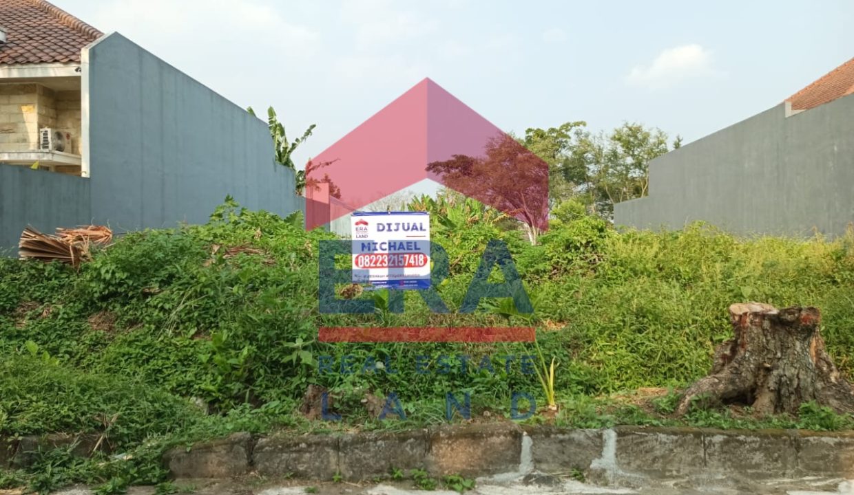 WhatsApp Image 2023-06-05 at 10.40.53