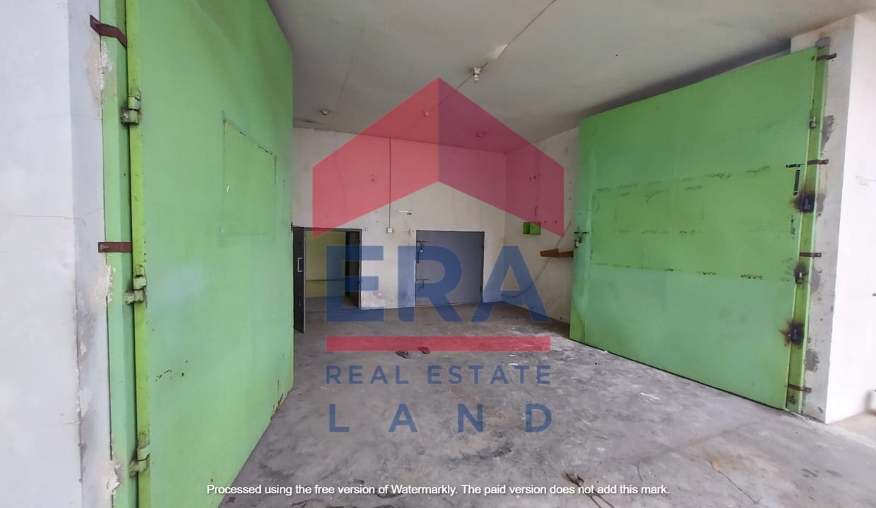 WhatsApp Image 2023-06-19 at 11.28.36