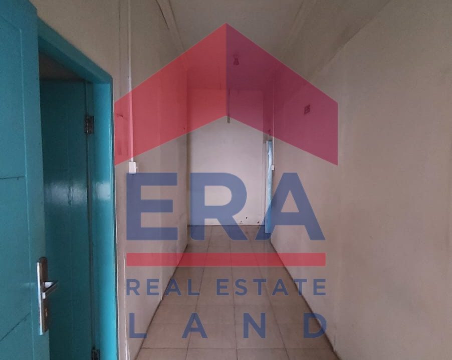 WhatsApp Image 2023-06-19 at 11.28.37 (1)