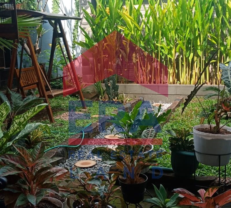 WhatsApp Image 2023-06-23 at 11.13.41