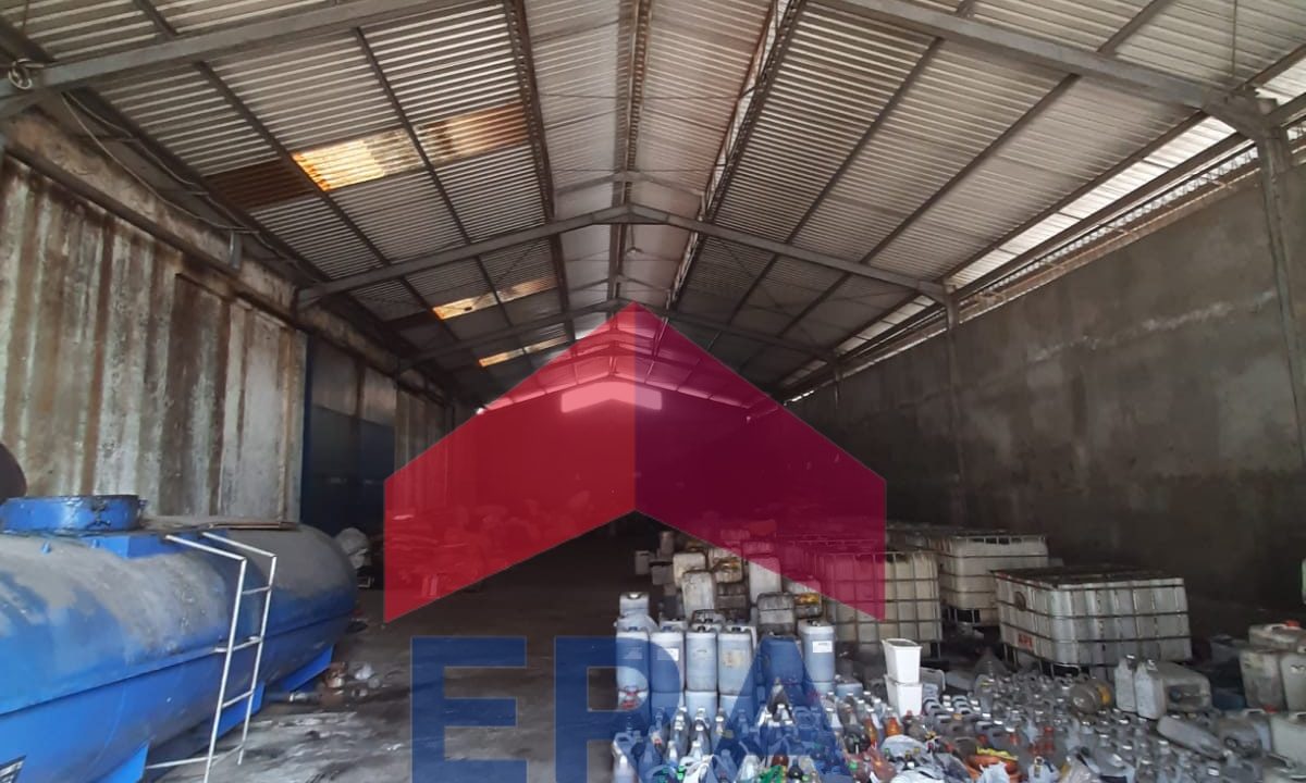 WhatsApp Image 2023-08-29 at 11.06.52