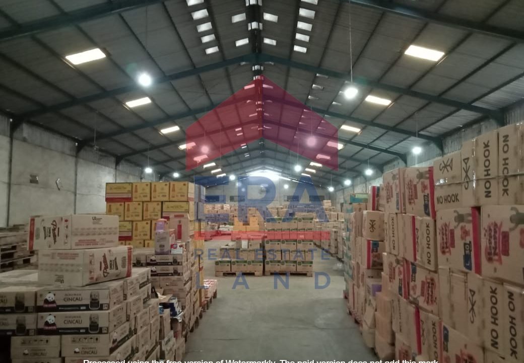 WhatsApp Image 2023-09-04 at 07.50.03