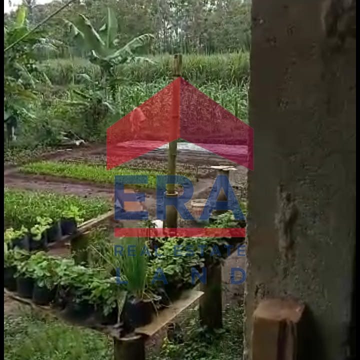 WhatsApp Image 2023-11-06 at 13.50.26_2d502f95