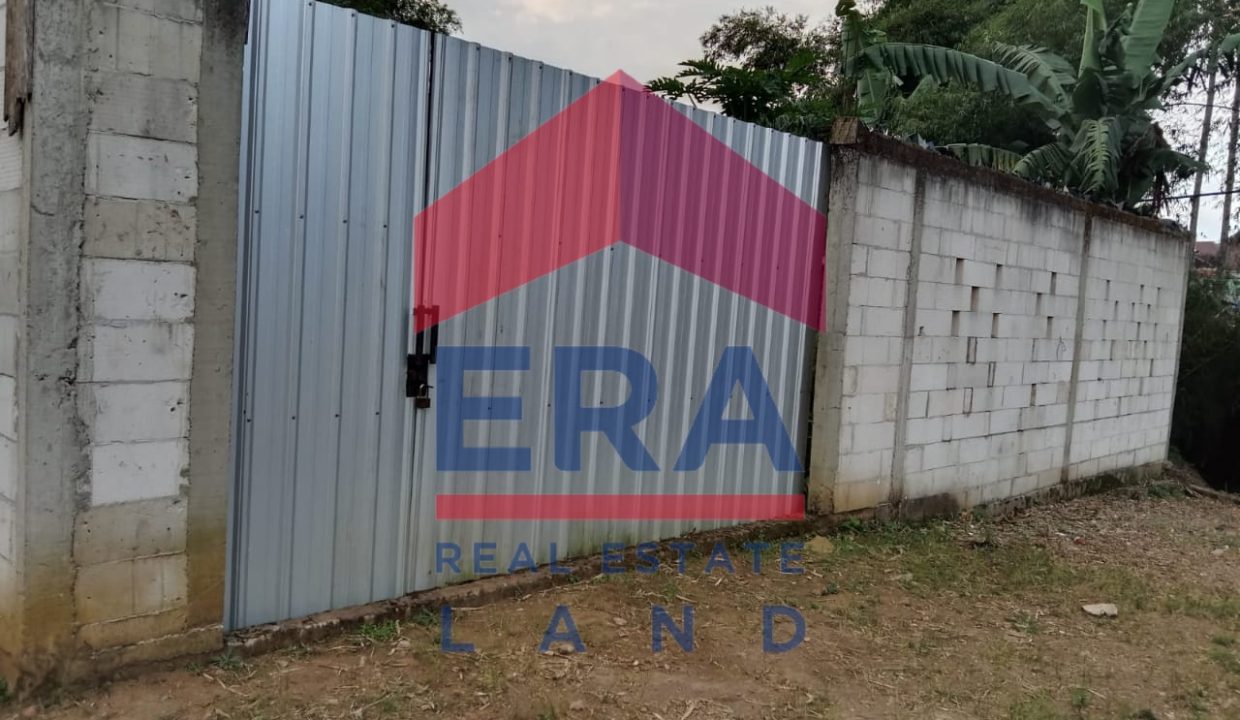 WhatsApp Image 2023-12-02 at 12.24.25_59d48e3e