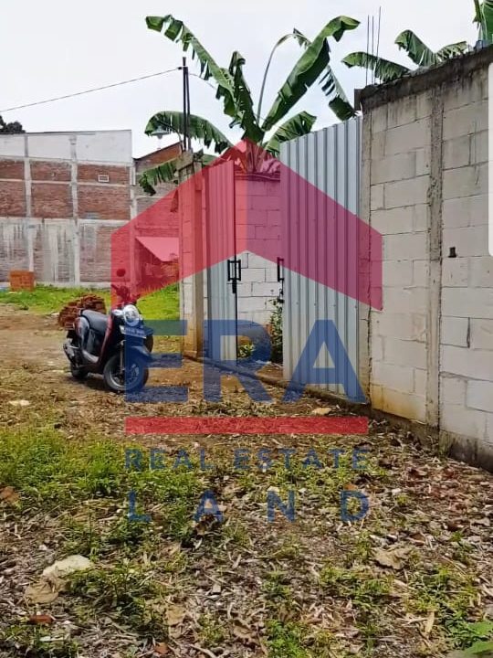 WhatsApp Image 2023-12-02 at 12.24.26_44c2557c