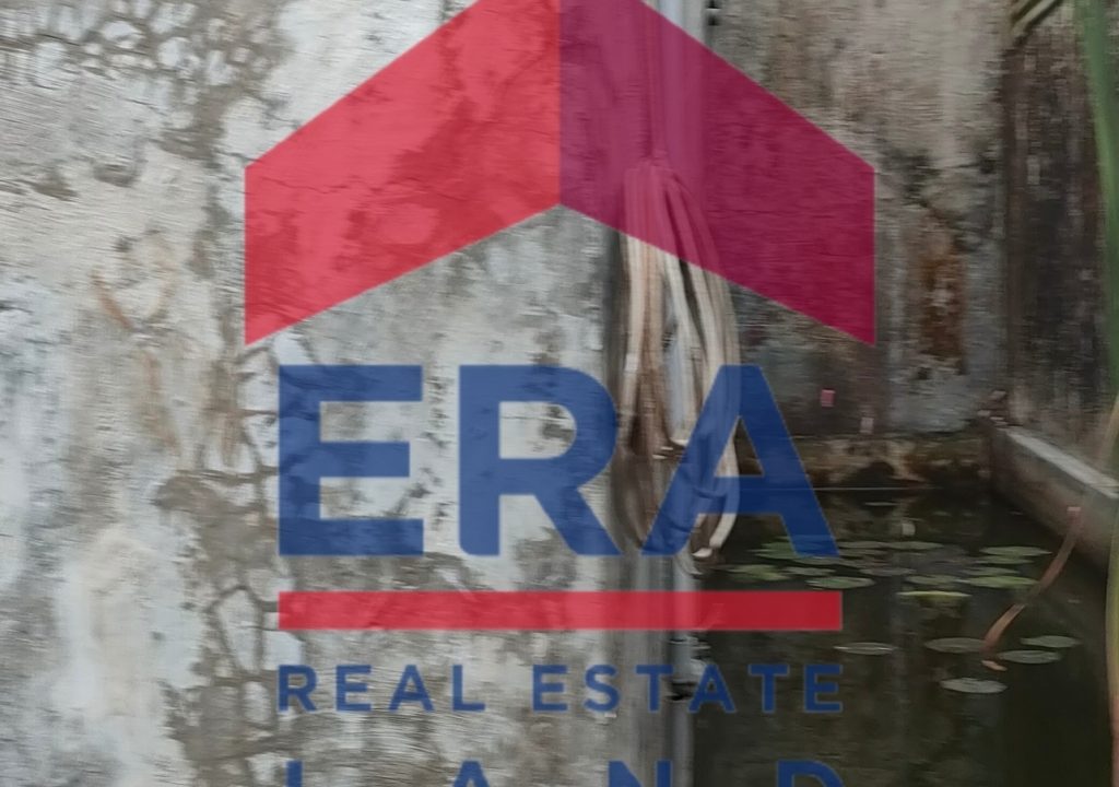 Picsart_22-03-08_13-49-17-305 (FILEminimizer)