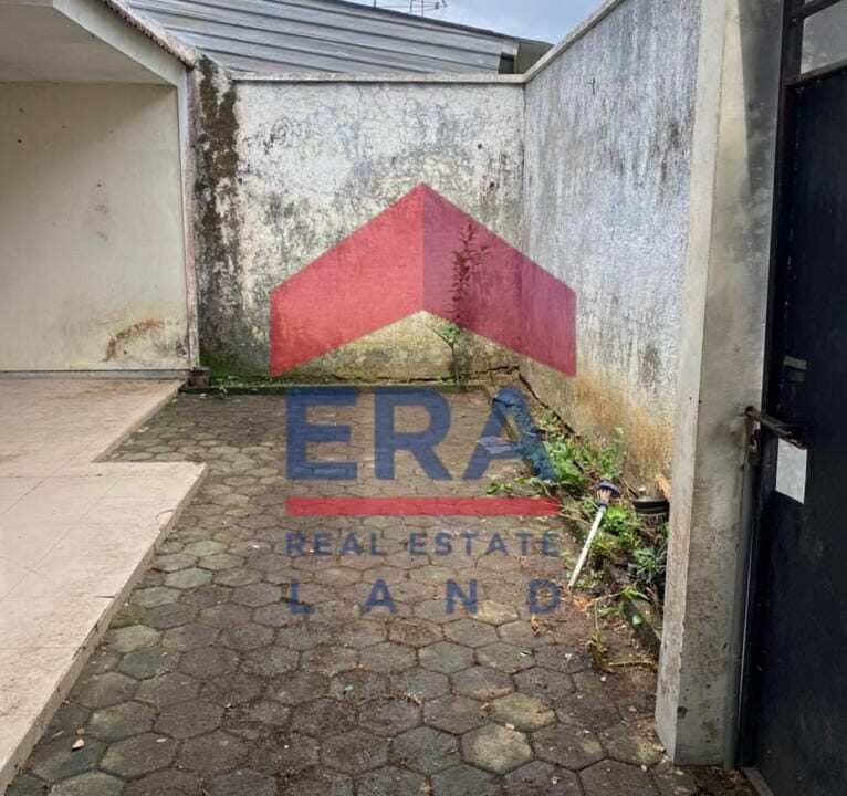 WhatsApp Image 2023-03-24 at 23.35.03 (1)