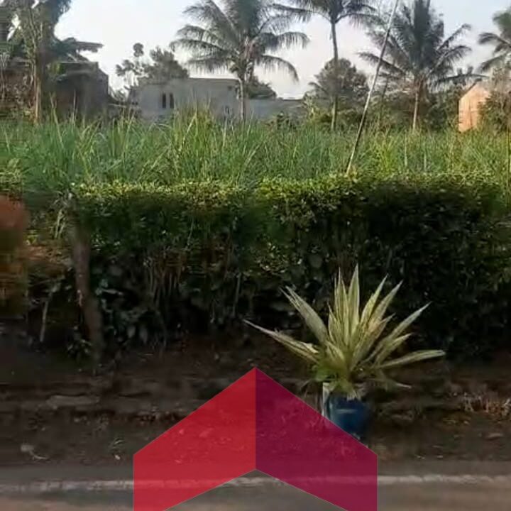 Gambar WhatsApp 2025-02-03 pukul 16.08.52_314fd848