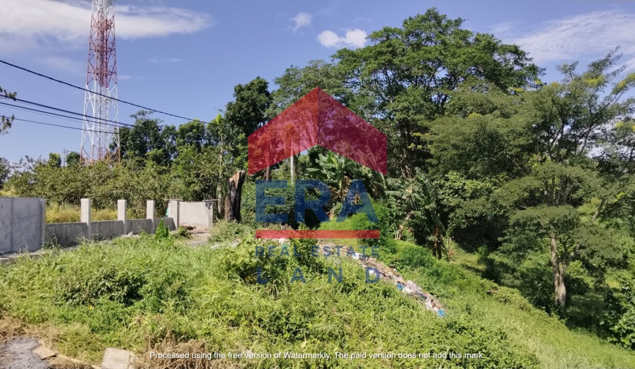 Gambar WhatsApp 2025-02-07 pukul 09.48.24_0a25f38c