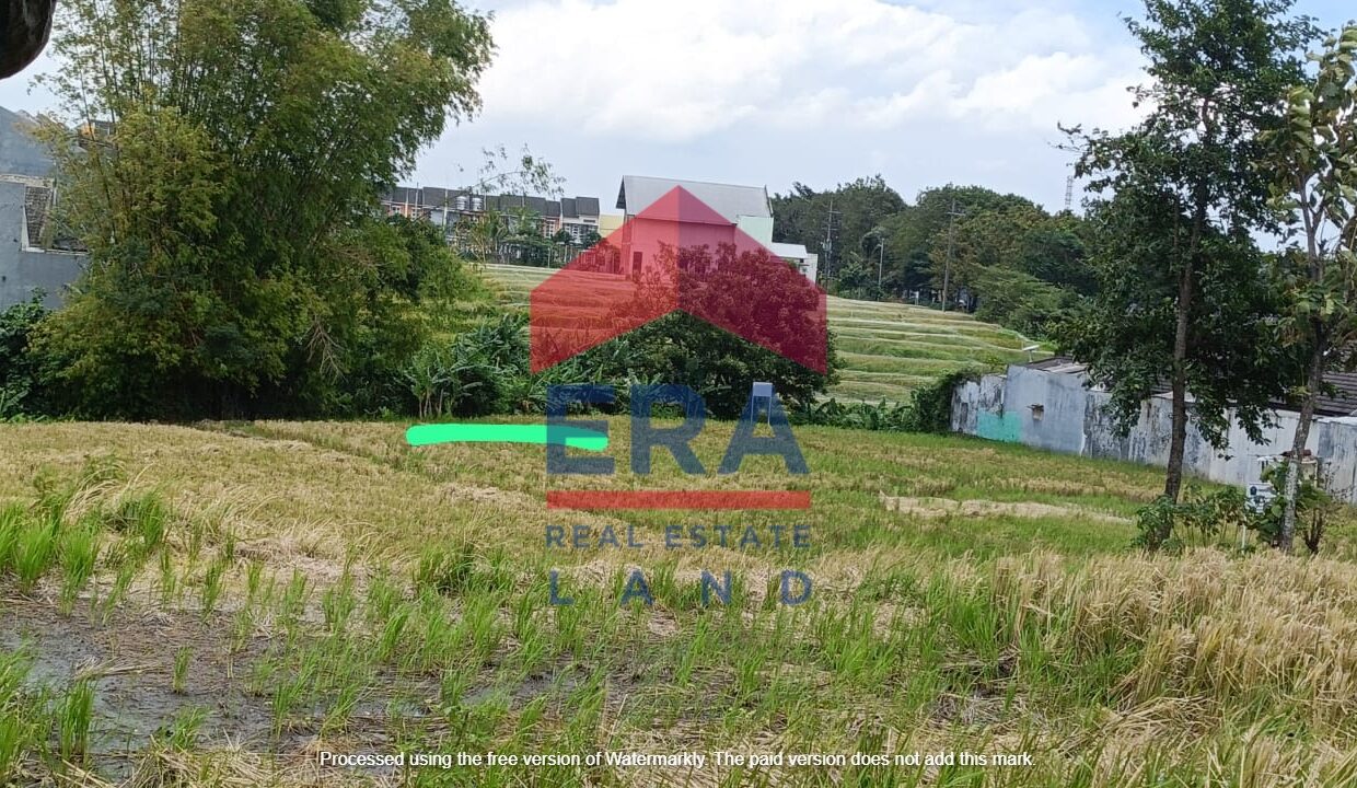 Gambar WhatsApp 2025-02-07 pukul 13.38.52_229590b0