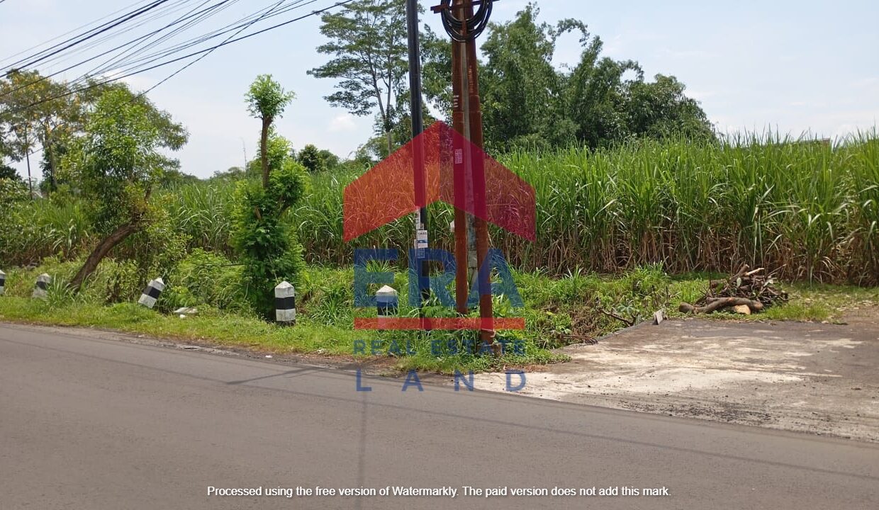 Gambar WhatsApp 2025-02-08 pukul 10.41.42_26626404