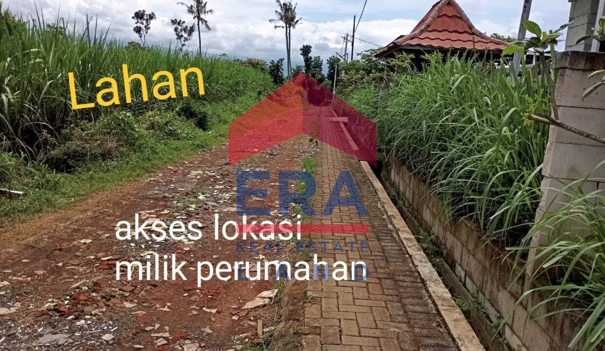 Gambar WhatsApp 2025-02-08 pukul 10.54.57_babbb8c0