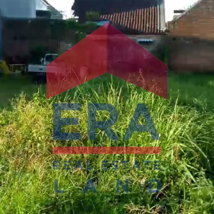 Gambar WhatsApp 2025-02-17 pukul 10.27.59_65cdf5e8