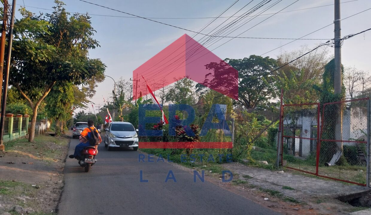 Gambar WhatsApp 2025-02-19 pukul 12.29.07_761094fd