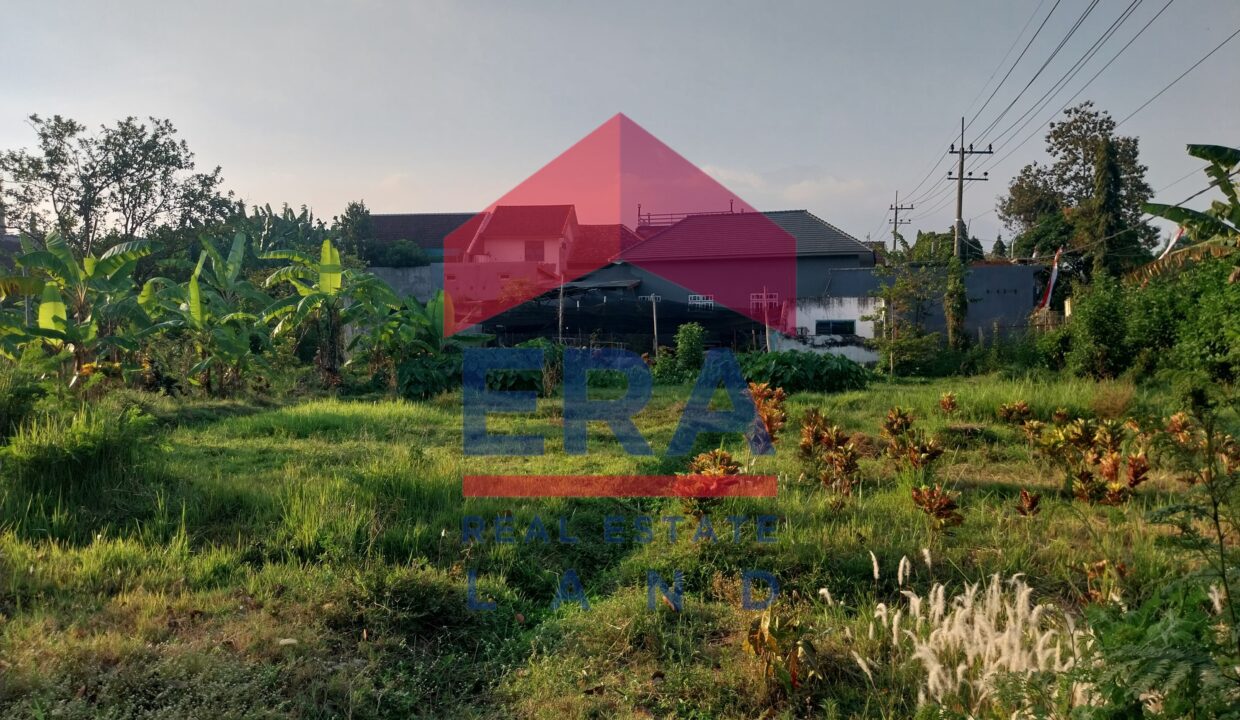 Gambar WhatsApp 2025-02-19 pukul 12.29.08_6fb4432f