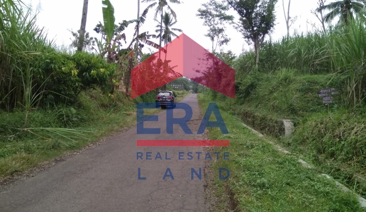 Gambar WhatsApp 2025-02-20 pukul 11.58.11_25a349f1