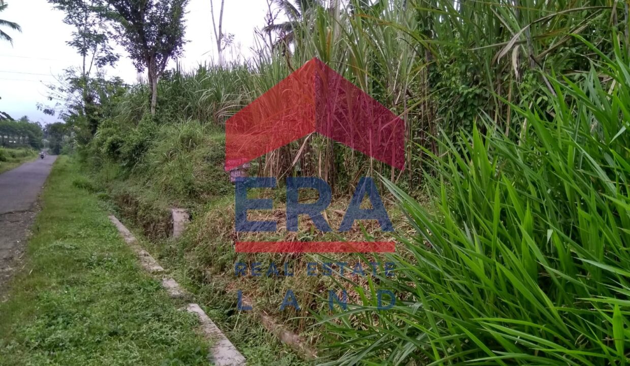 Gambar WhatsApp 2025-02-20 pukul 11.58.11_90502ef1