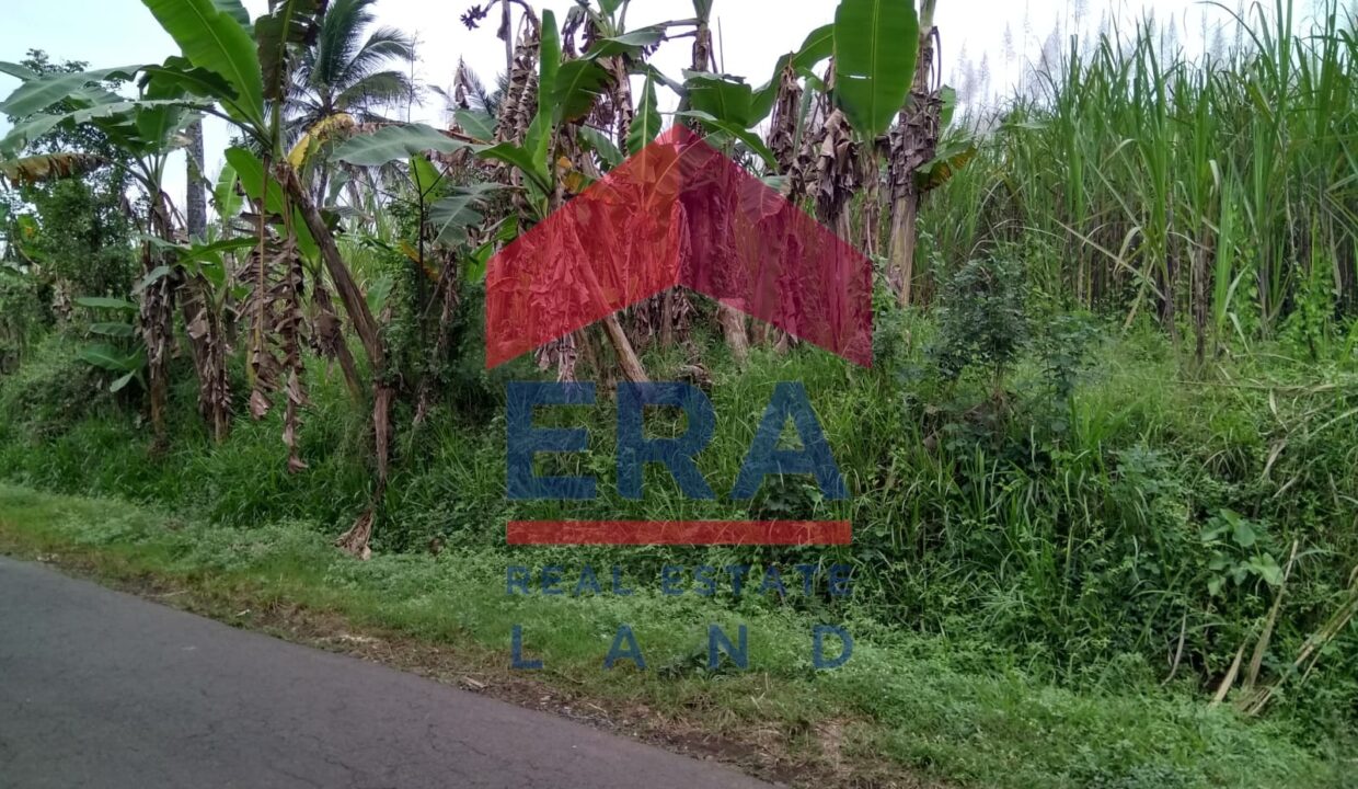 Gambar WhatsApp 2025-02-20 pukul 11.58.11_96a2116b